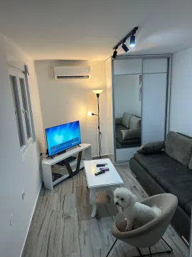 Living room with a sofa, TV and air conditioning. - image 4