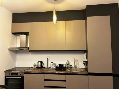 Izdavanje, jednosoban stan, 45m², Zabjelo, Podgorica - image 2