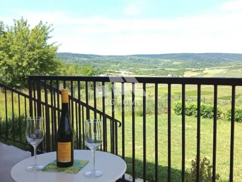 Izdavanje, kuća, 65m², Banja Vrdnik, Irig - image 12