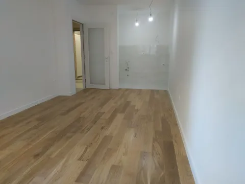 Izdavanje, jednosoban stan, 47m², Central Point, Podgorica - image 1