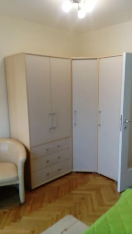 Izdavanje, dvosoban stan, 49m², Dedinje Sve Podlokacije, Beograd