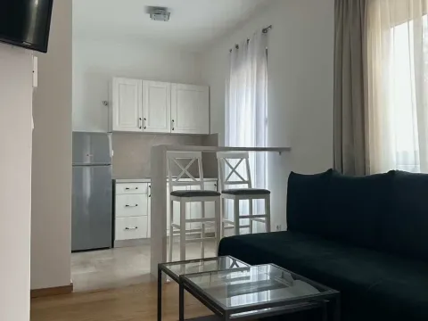 Sale, one bedroom apartment, 33m², Ivanovići, Budva - image 7