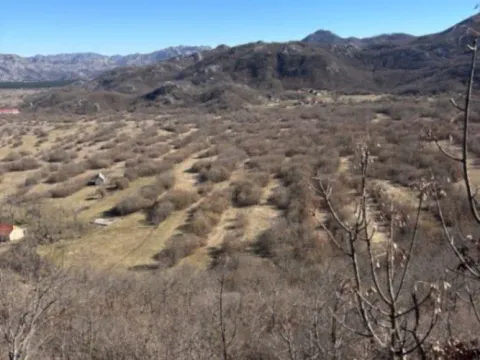 Prodaja, plac, 136000m², Grahovo, Nikšić - image 2