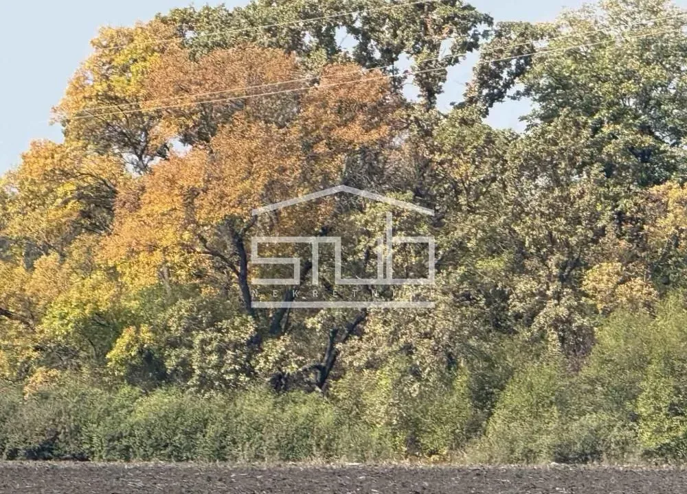 Sale, land lot, Čukarica, Beograd