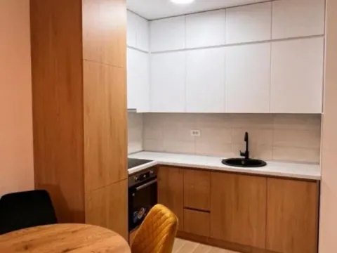 Izdavanje, jednosoban stan, 45m², Stari Aerodrom, Podgorica - image 5