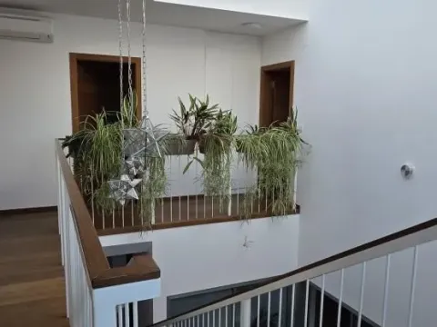 Prodaja, kuća, 337m², Sremska Kamenica, Petrovaradin - image 42