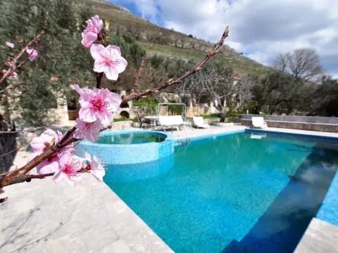 Sale, house, 480m², Reževići, Budva - image 9