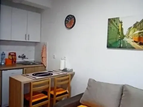 Izdavanje, garsonjera, 25m², Nova Detelinara, Novi Sad Sve Podlokacije - image 3