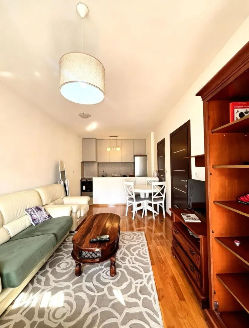 Izdavanje, jednosoban stan, 48m², Preko Morače, Podgorica