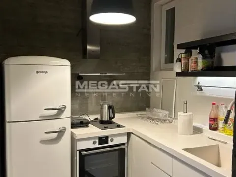 Izdavanje, dvosoban stan, 95m², Stari Grad, Beograd - image 10