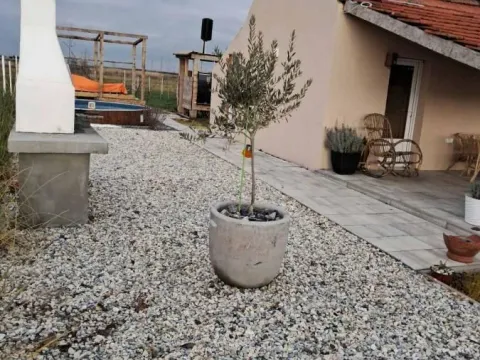 Sale, house, 35m², Elemir, Zrenjanin - image 48