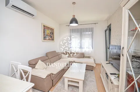 Rent, one bedroom apartment, 59m², Central Point, Podgorica - image 1054