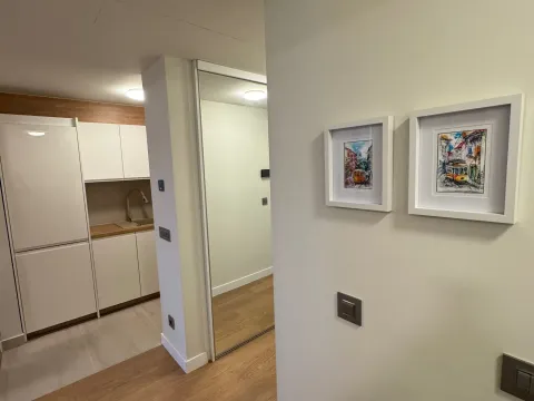 Rent, two bedroom apartment, 47m², Novi Beograd Blok 65, Novi Beograd Sve Podlokacije - image 10