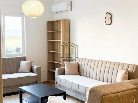 Rent, one bedroom apartment, 46m², Zabjelo, Podgorica - image 1