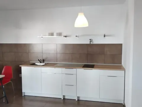 Sale, one bedroom apartment, 44m², Petrovac, Budva - image 4