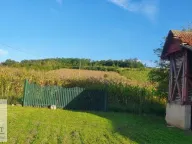 Prodaja, kuća, 250m², Lazarevac, Beograd - image 15