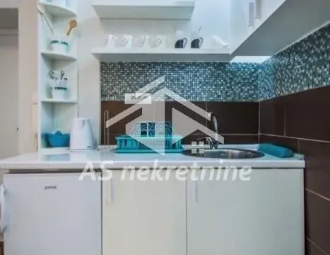 Izdavanje, stan, 38m², Botanička Bašta, Palilula Sve Podlokacije - image 5