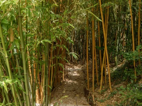 Sale, house, 805m², Reževići, Budva - image 40