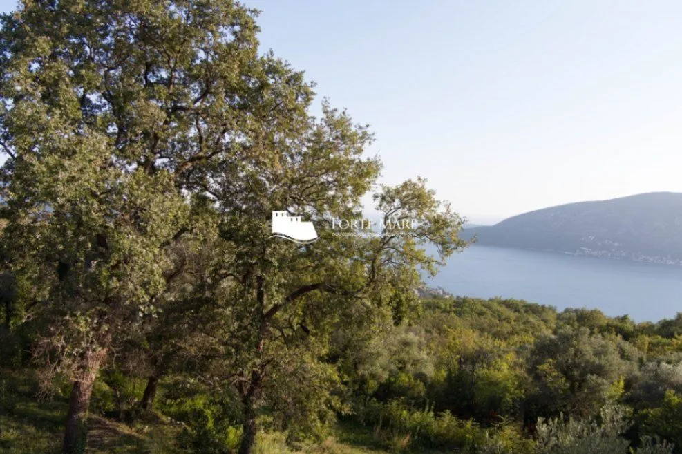 Prodaja, plac, 1362m², Trebešin, Herceg Novi