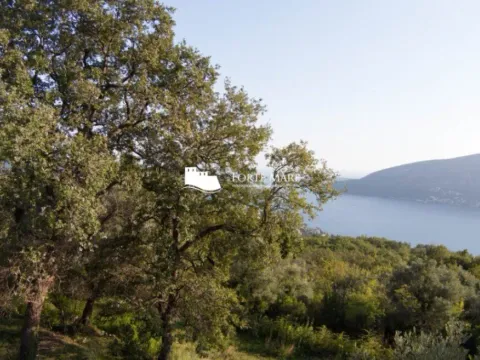 Prodaja, plac, 1362m², Trebešin, Herceg Novi - image 4