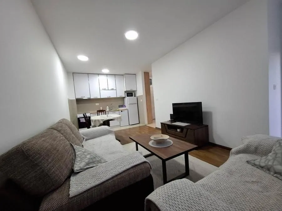 Rent, one bedroom apartment, 45m², Zabjelo, Podgorica