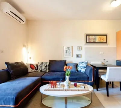 Living room with sofa, coffee table, and air conditioner. - image 6