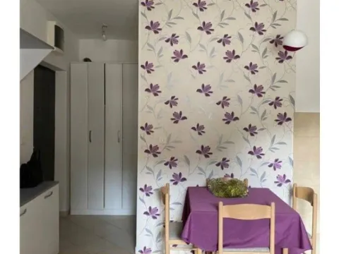 Sale, studio apartment, 21m², Lazi, Budva - image 3