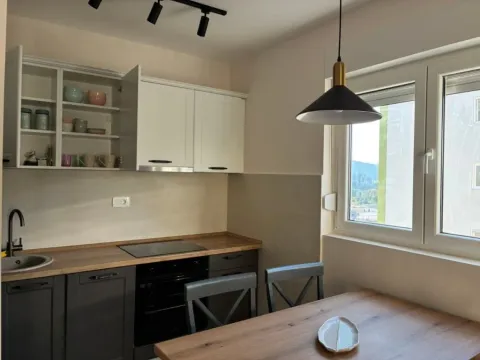 Izdavanje, jednosoban stan, 42m², Podgorica, Crna Gora - image 4