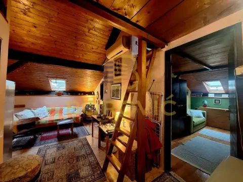 Stan in Profesorska Kolonija