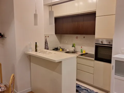 Izdavanje, jednosoban stan, 56m², Centar, Podgorica - image 4