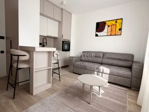 Rent, studio apartment, 25m², Zabjelo, Podgorica - image 3