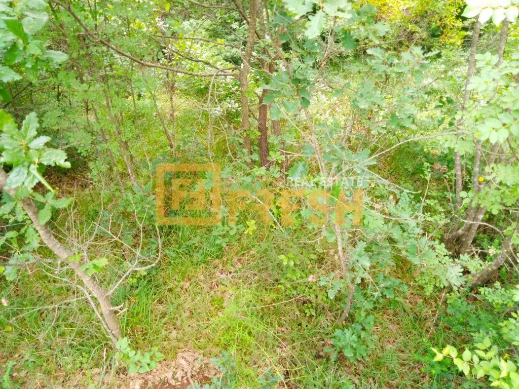 Prodaja, plac, 1000m², Danilovgrad, Crna Gora