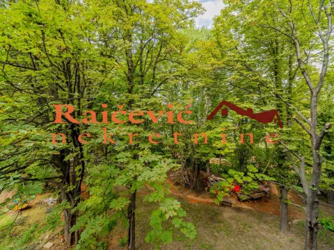 Sale, three bedroom apartment, 101m², Bogoslovija, Palilula Sve Podlokacije - image 7