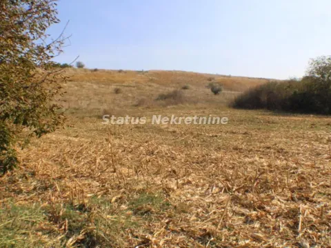 Prodaja, kuća, 97m², Irig, Srbija - image 13