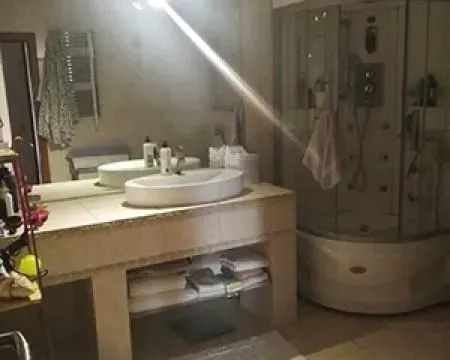 Izdavanje, četvorosoban stan, 210m², Bezanijska Kosa 1, Bežanijska Kosa Sve Podlokacije - image 13