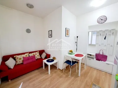 Rent, one bedroom apartment, 24m², Vračar Centar, Vračar Sve Podlokacije