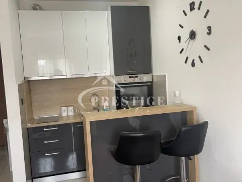 Izdavanje, garsonjera, 25m², Ljubović, Podgorica - image 5