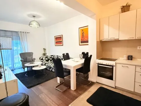 Rent, one bedroom apartment, 48m², Vezirov Most, Podgorica - image 3