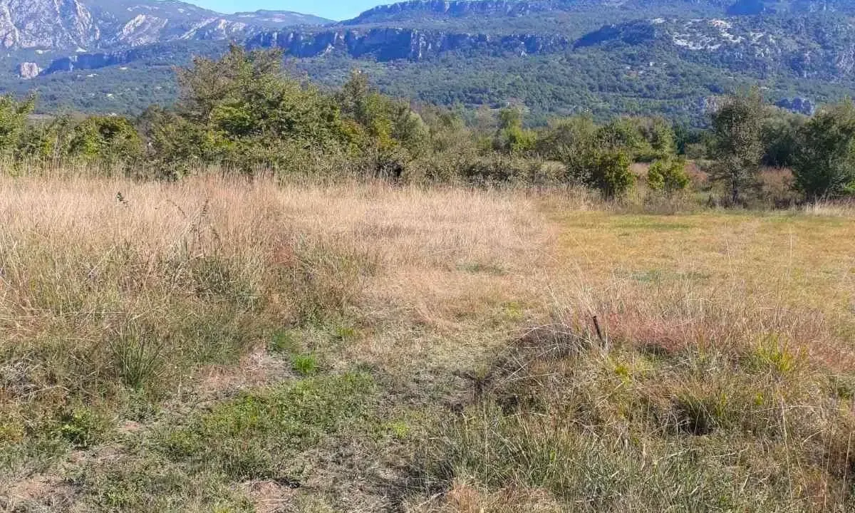 Sale, land lot, 4209m², Spuž, Danilovgrad