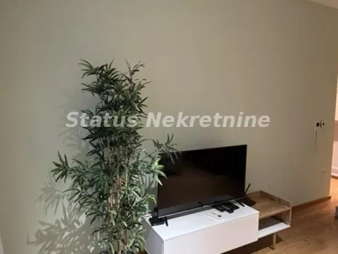 Izdavanje, dvosoban stan, 42m², Centar, Novi Sad - image 3