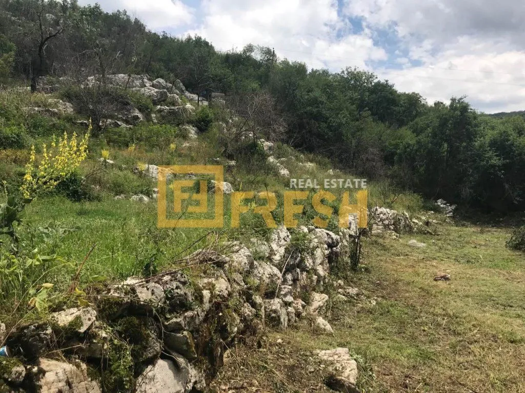 Prodaja, plac, 194723m², Cetinje, Crna Gora
