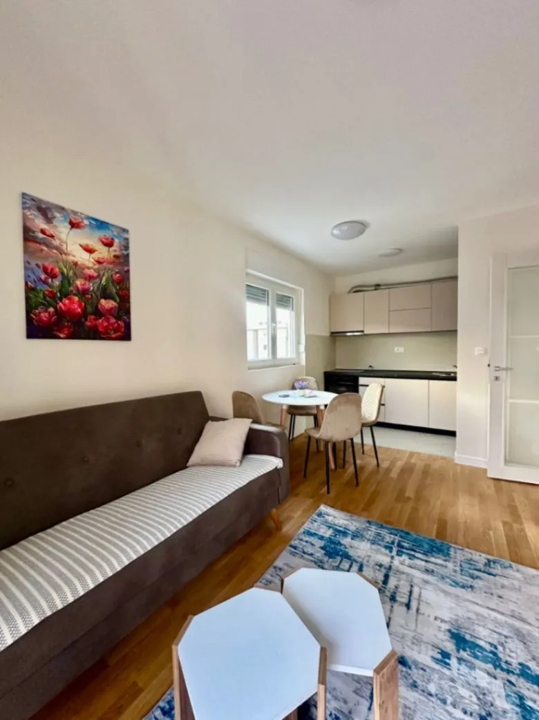 Izdavanje, jednosoban stan, 45m², Zabjelo, Podgorica