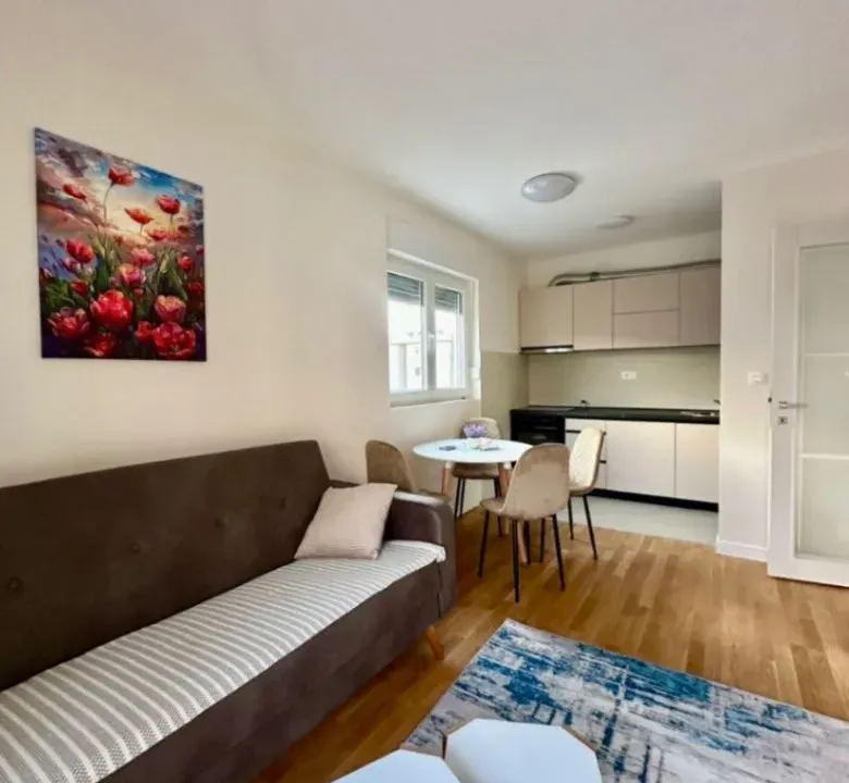 Izdavanje, jednosoban stan, 45m², Zabjelo, Podgorica