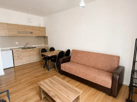 Stan-na-dan, jednosoban stan, 40m², Ulcinjsko Polje, Ulcinj - image 2