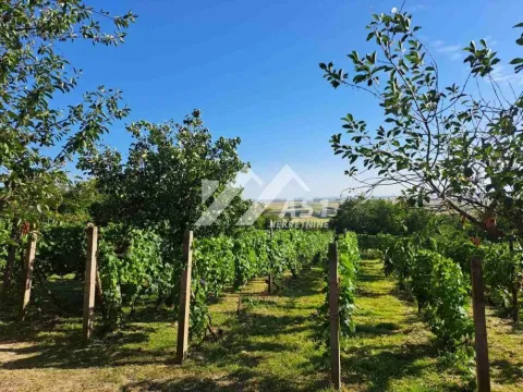 Prodaja, kuća, 70m², Stari Slankamen, Inđija - image 2