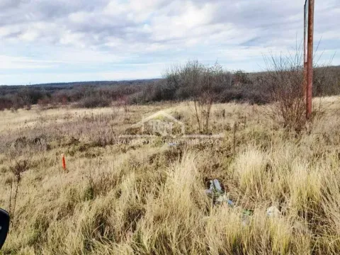 Prodaja, plac, 6653m², Sremčica, Beograd - image 4