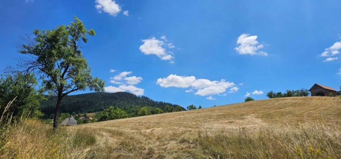 Prodaja, plac, 7400m², Zlatibor, Srbija