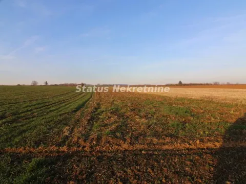 Sale, land lot, 7700m², Irig, Srbija - image 2
