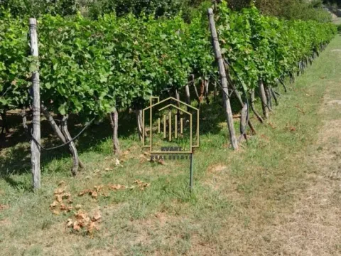 Prodaja, kuća, 212m², Martinići, Danilovgrad - image 5