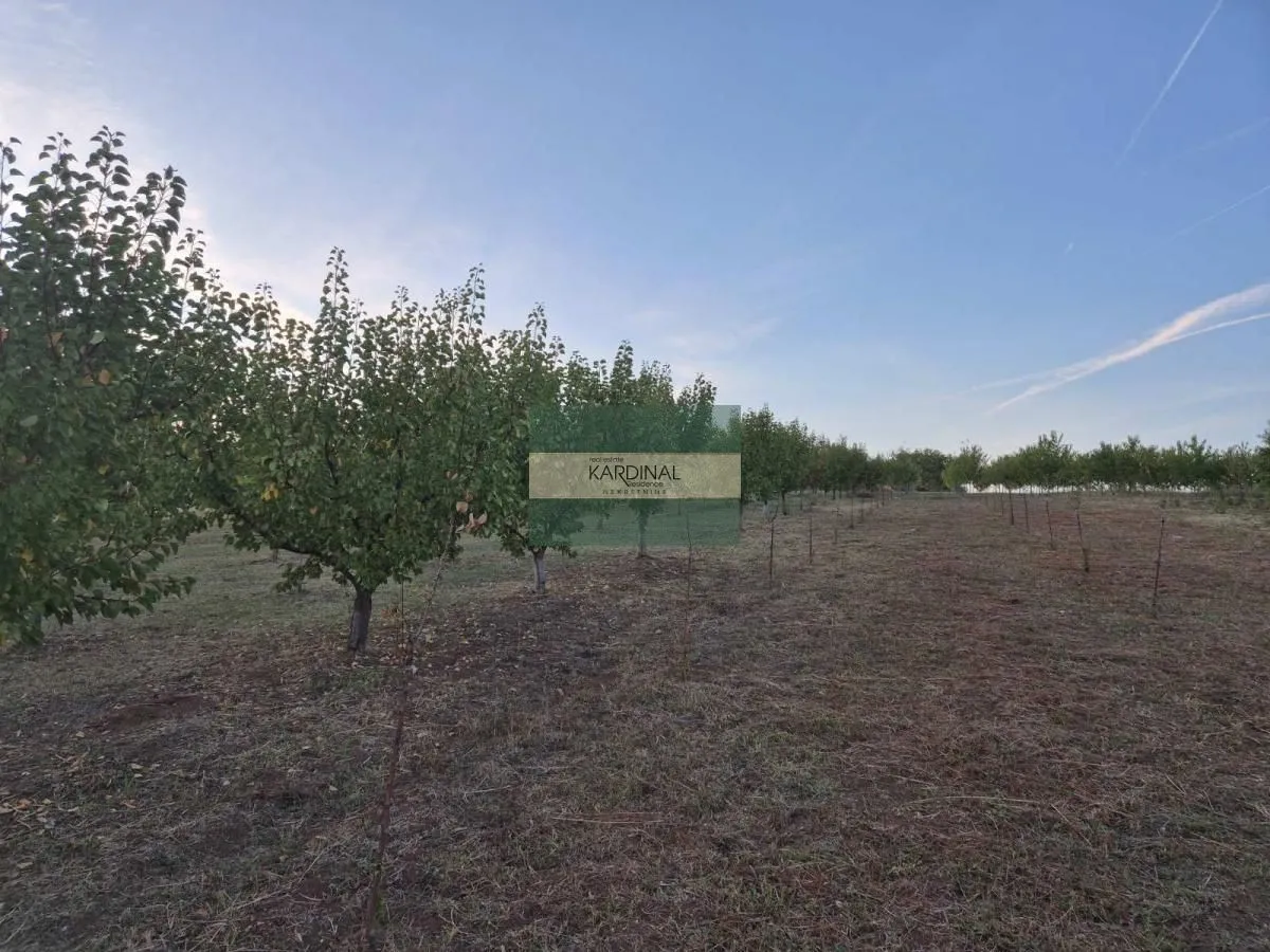 Prodaja, plac, 27920m², Siokovac, Jagodina